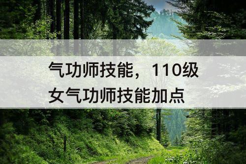 气功师技能，110级女气功师技能加点