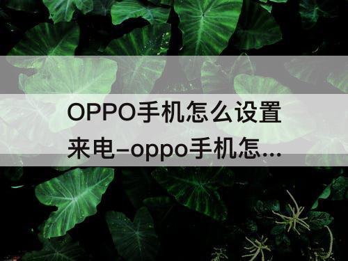 OPPO手机怎么设置来电-oppo手机怎么设置来电勿扰模式