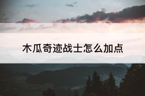 木瓜奇迹战士怎么加点