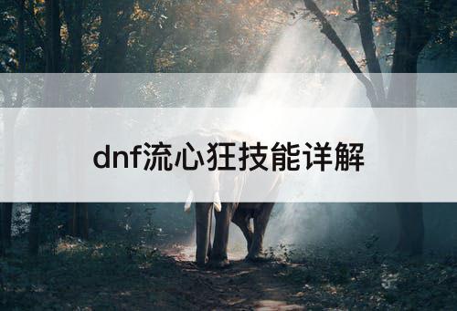 dnf流心狂技能详解