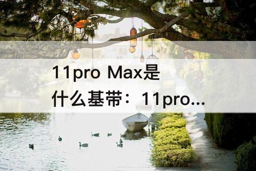 11pro Max是什么基带：11pro max是什么基带信号