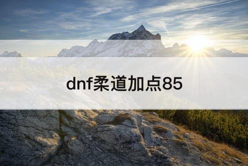 dnf柔道加点85
