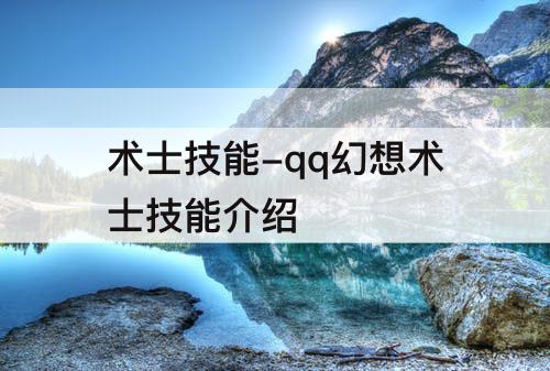 术士技能-qq幻想术士技能介绍