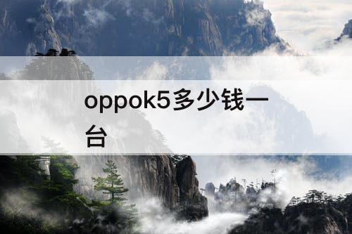 oppok5多少钱一台