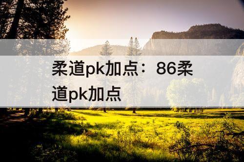 柔道pk加点：86柔道pk加点