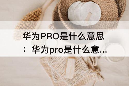 华为PRO是什么意思：华为pro是什么意思翻译