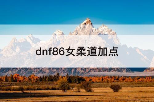 dnf86女柔道加点