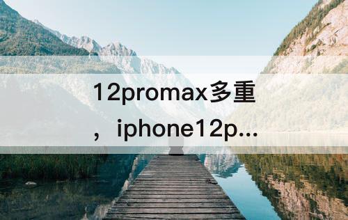 12promax多重，iphone12promax多重