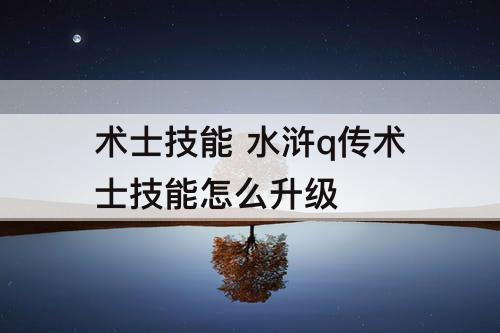 术士技能 水浒q传术士技能怎么升级