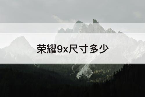 荣耀9x尺寸多少