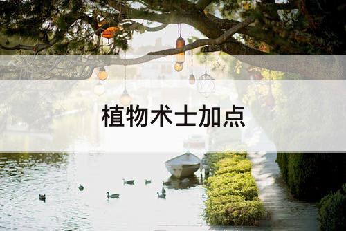 植物术士加点
