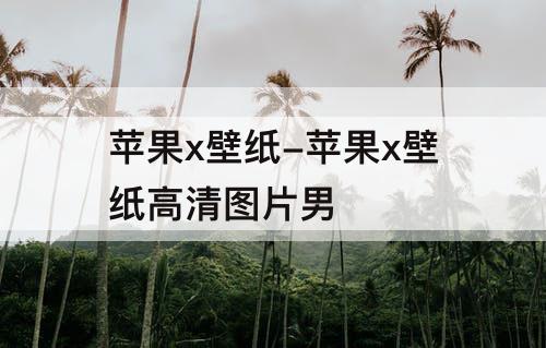 苹果x壁纸-苹果x壁纸高清图片男
