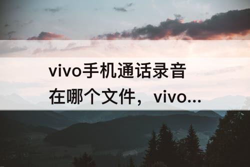 vivo手机通话录音在哪个文件，vivo手机通话录音在哪个文件夹