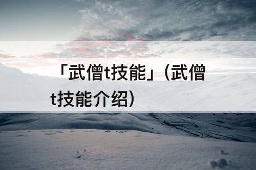 「武僧t技能」(武僧t技能介绍)