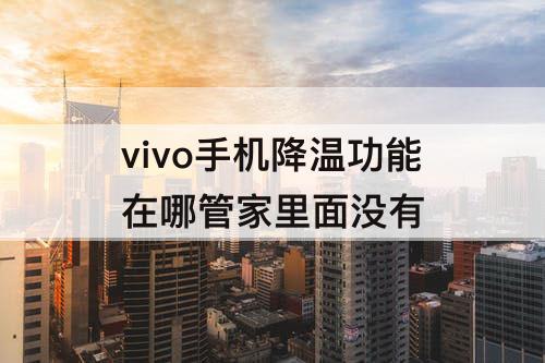 vivo手机降温功能在哪管家里面没有