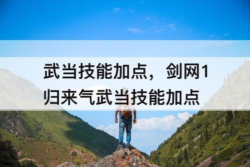 武当技能加点，剑网1归来气武当技能加点