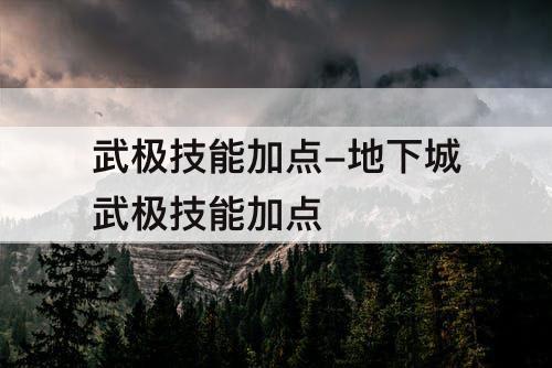 武极技能加点-地下城武极技能加点