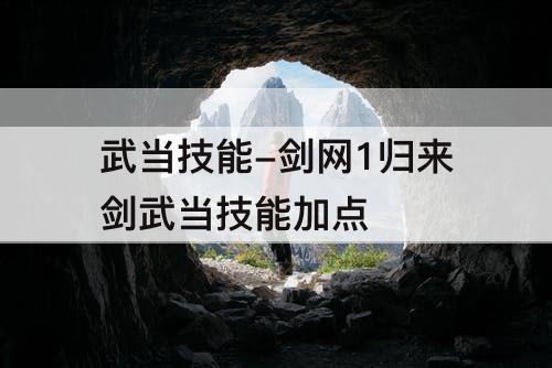 武当技能-剑网1归来剑武当技能加点