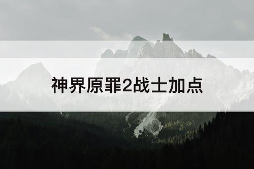 神界原罪2战士加点