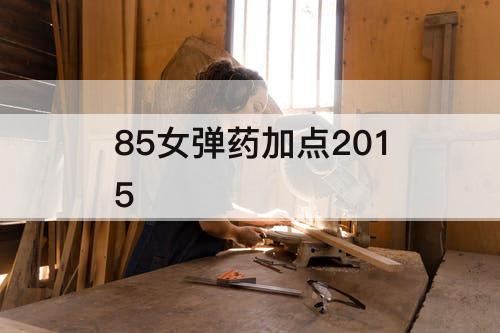 85女弹药加点2015