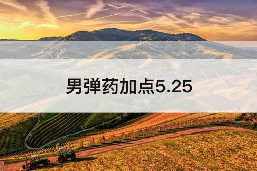 男弹药加点5.25