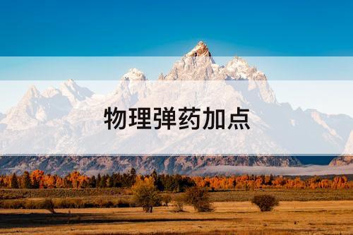 物理弹药加点