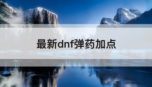 最新dnf弹药加点