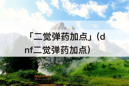 「二觉弹药加点」(dnf二觉弹药加点)