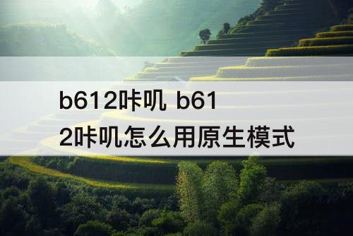 b612咔叽 b612咔叽怎么用原生模式
