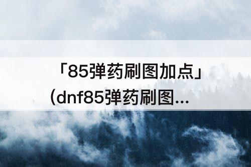 「85弹药刷图加点」(dnf85弹药刷图加点)