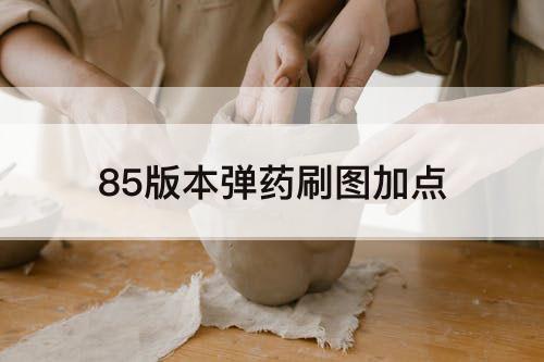 85版本弹药刷图加点