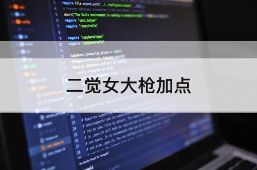 二觉女大枪加点