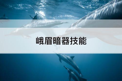 峨眉暗器技能