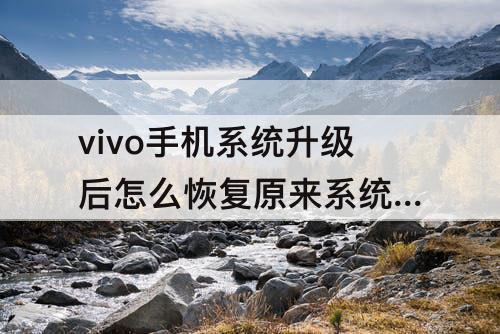 vivo手机系统升级后怎么恢复原来系统 vivo手机系统升级后怎么恢复原来系统的页面