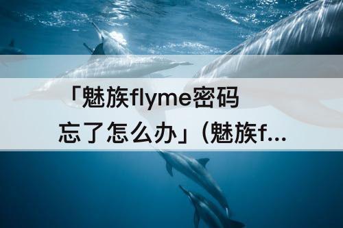 「魅族flyme密码忘了怎么办」(魅族flyme密码忘了怎么办手机号也换了)