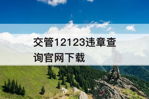 交管12123违章查询官网下载