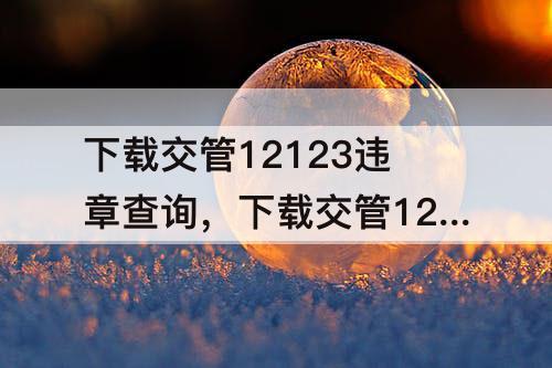 下载交管12123违章查询，下载交管12123违章查询缴费怎么用