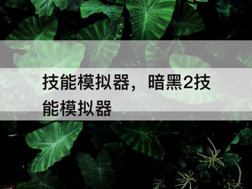 技能模拟器，暗黑2技能模拟器