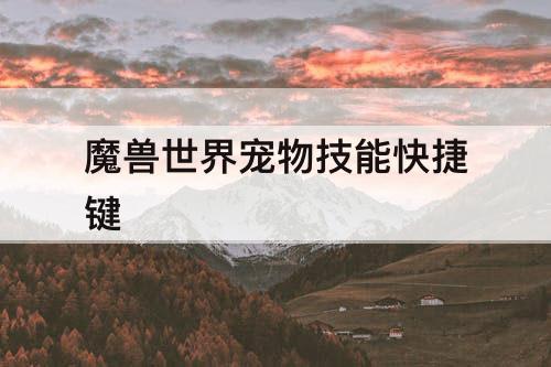 魔兽世界宠物技能快捷键