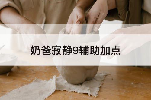 奶爸寂静9辅助加点