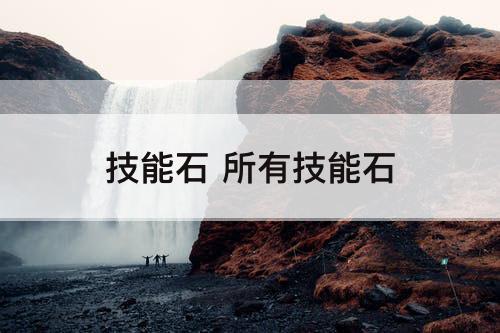技能石 所有技能石