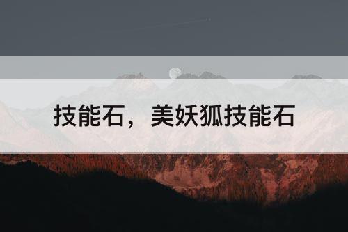 技能石，美妖狐技能石