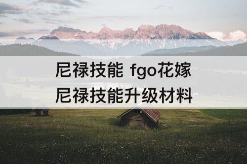 尼禄技能 fgo花嫁尼禄技能升级材料
