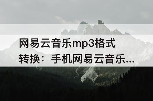 网易云音乐mp3格式转换：手机网易云音乐mp3格式转换