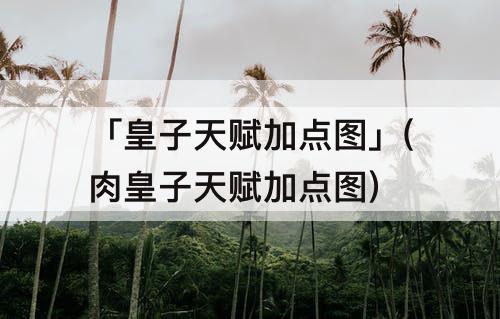 「皇子天赋加点图」(肉皇子天赋加点图)