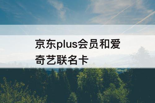 京东plus会员和爱奇艺联名卡