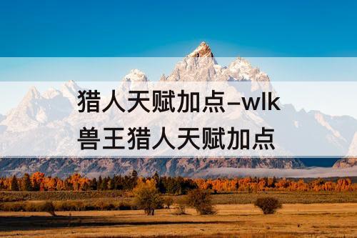 猎人天赋加点-wlk兽王猎人天赋加点
