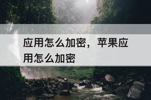 应用怎么加密，苹果应用怎么加密