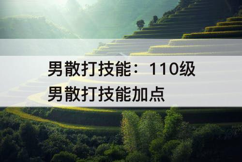 男散打技能：110级男散打技能加点