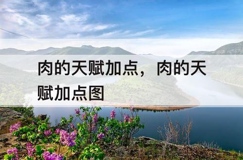 肉的天赋加点，肉的天赋加点图